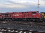CP 8924